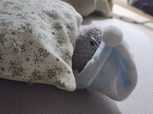 ぬくいでちゅ～
