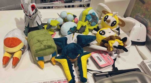 ひさしぶりのふわもこSNS
しんいりの ふわもこが トレーナーにごあいさつしてた。
ぼくがかばんの中からおそとみてたら、みんなが手をふってくれて うれしかったの(フシデ)