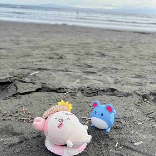 海は、、、あぶないパシからね、、、🏖️
