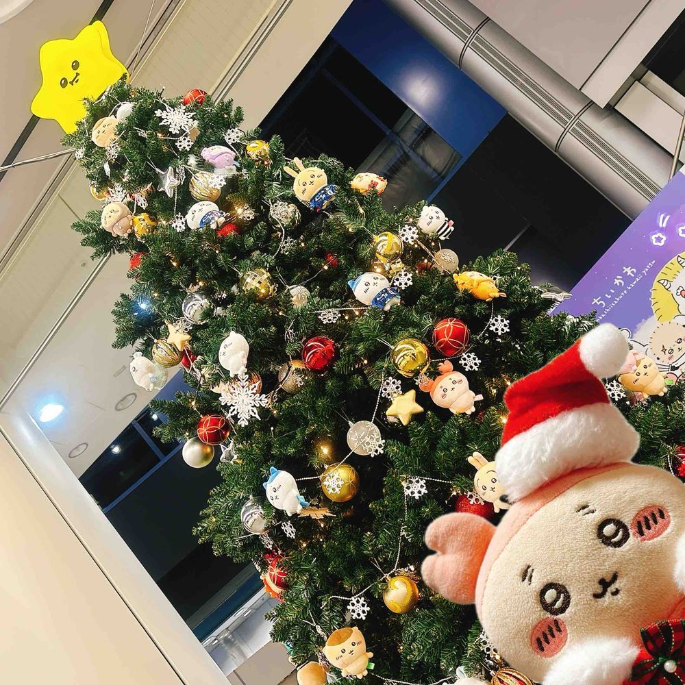 今年もすてきなクリスマスだったパシ🎄