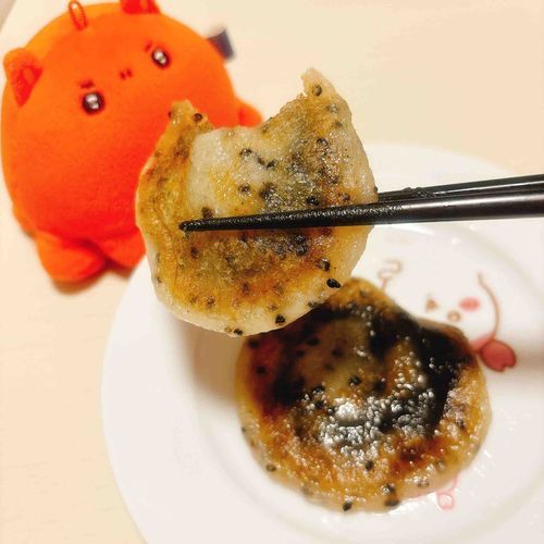 メンダコちゃんにカルディの胡麻餅食べさせるパシ！