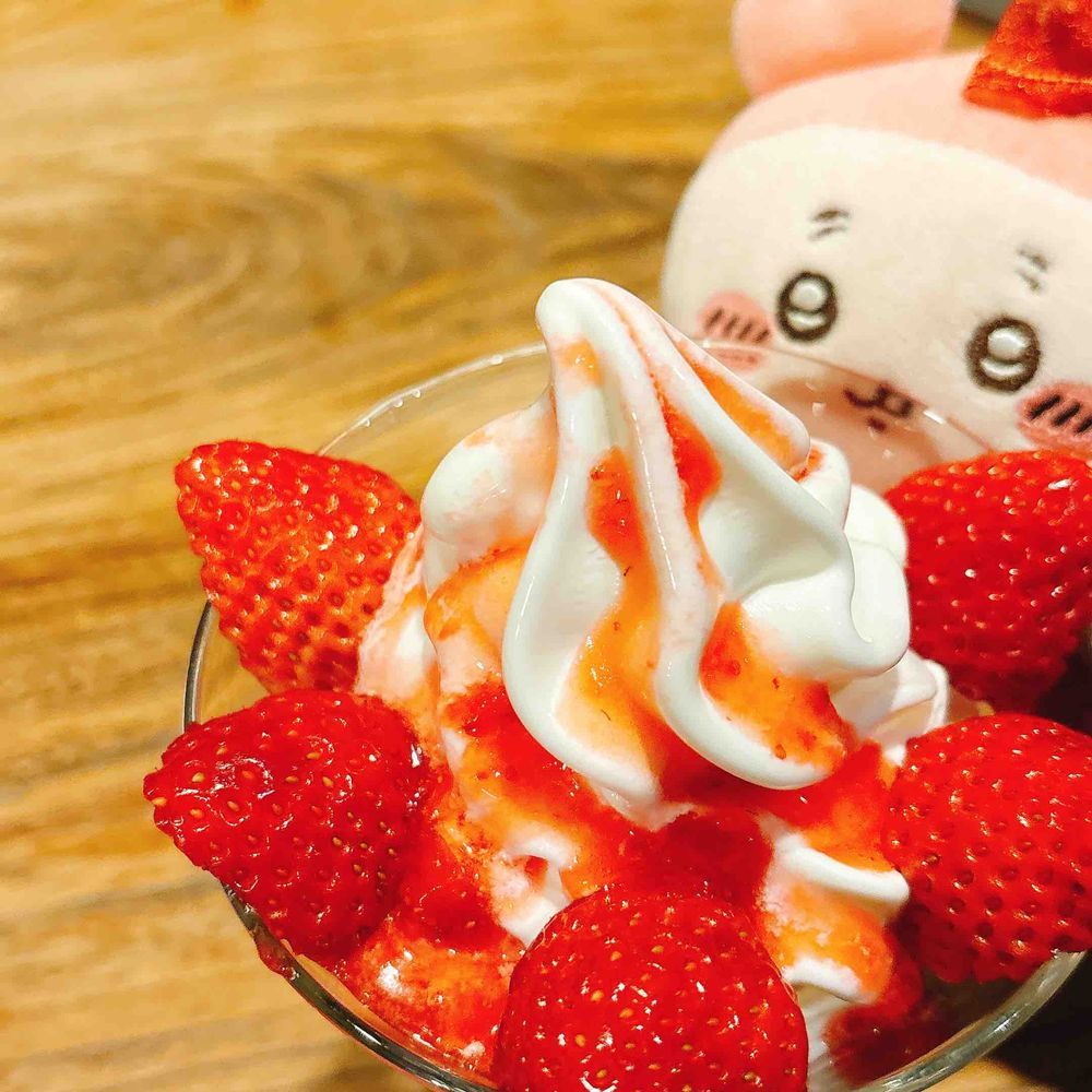 新幹線から雪景色が見れたパシ⛄️
大阪でたべたいちごデザートたちパシ🍓
大阪もすごく雪が降ってたパシ〜！