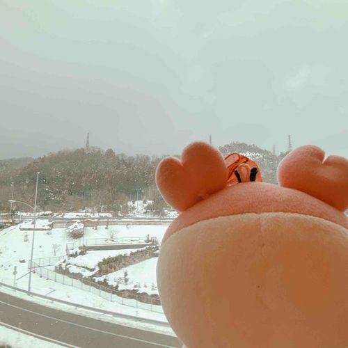 新幹線から雪景色が見れたパシ⛄️
大阪でたべたいちごデザートたちパシ🍓
大阪もすごく雪が降ってたパシ〜！