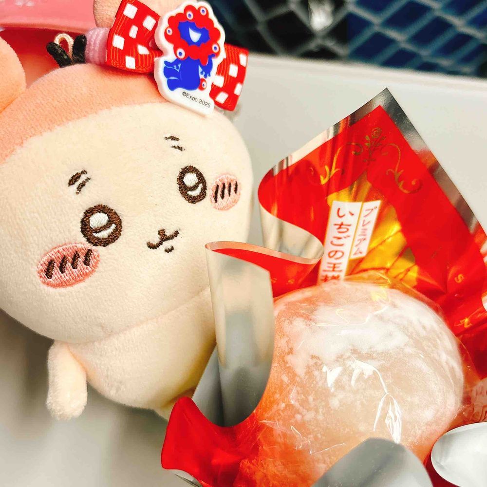 新幹線から雪景色が見れたパシ⛄️
大阪でたべたいちごデザートたちパシ🍓
大阪もすごく雪が降ってたパシ〜！