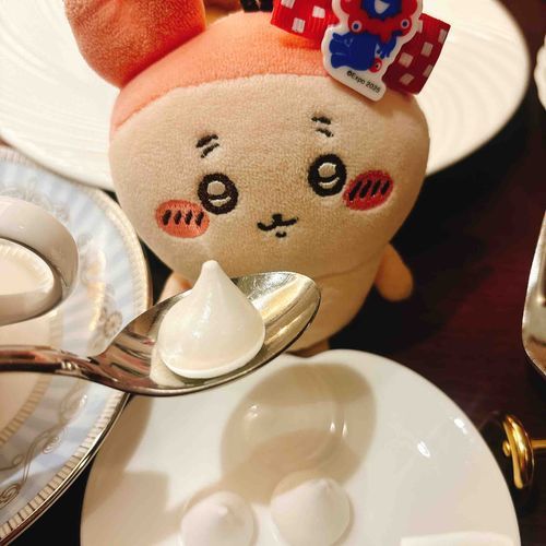 紅茶についてくるお菓子のメレンゲが、メレンゲ嫌いのメンダコちゃんに刺さってたやつパシ。ヒトデちゃんとほっぺちゃんおいしいね、、、言うてたパシ。