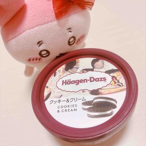 久しぶりにハーゲンダッツ食べたパシ。やっぱりこれにかなうものはないパシ、、、