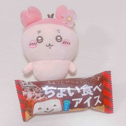 今日食べた【ちょい食べアイス】には顔が描いてたパシ、、、！写真をさかのぼってみたら前は描いてなかったパシ、、、そしておうちにある最後の1個も描いてないパシ！！！！自我もってたパシか、、、
