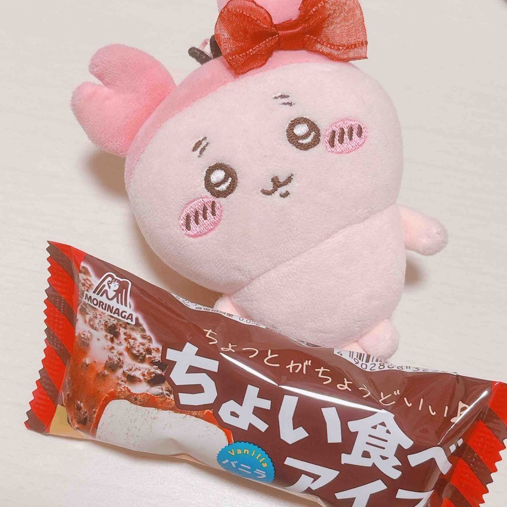 今日食べた【ちょい食べアイス】には顔が描いてたパシ、、、！写真をさかのぼってみたら前は描いてなかったパシ、、、そしておうちにある最後の1個も描いてないパシ！！！！自我もってたパシか、、、