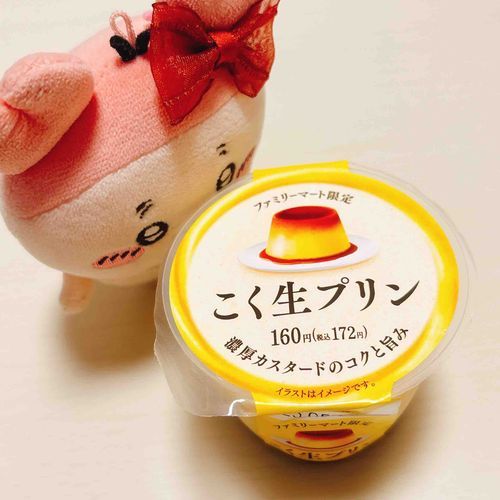久しぶりのパシプリン🍮
生プリンっていうけどかためだったパシ。カラメルの苦味がおいしいパシね。
濃厚なのにプルプルでこの大きさでちょうど良かったパシ！★★☆☆☆
