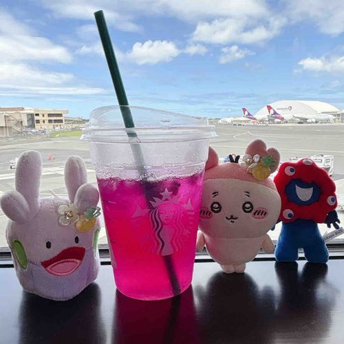 アロハ〜パシ🌺パシ初の海外旅行に来てるパシ！！！！スタバのピンクドリンク、可愛いだけじゃなくておいしいパシ🩷