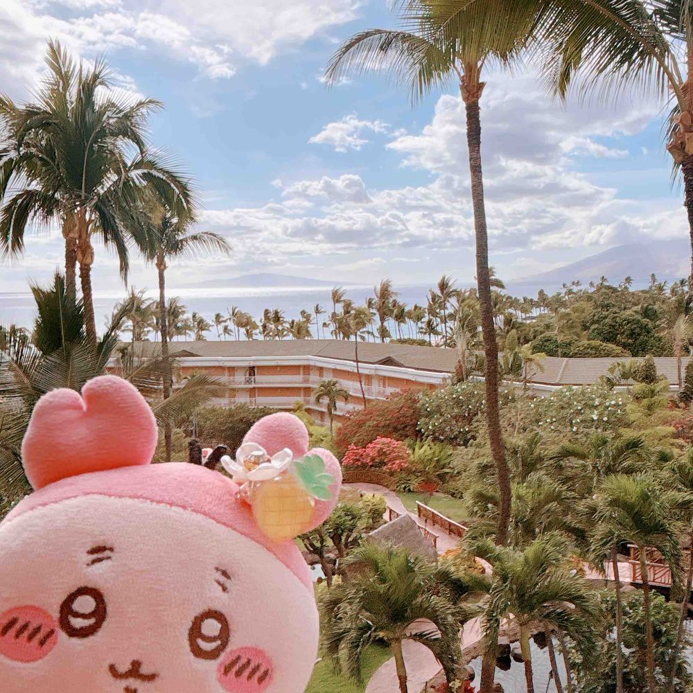初めてのハワイは楽しいことだらけだったパシ🌺少しのあいだハワイ投稿がつづくパシよ！
