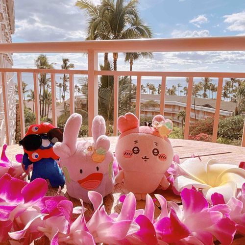 初めてのハワイは楽しいことだらけだったパシ🌺少しのあいだハワイ投稿がつづくパシよ！