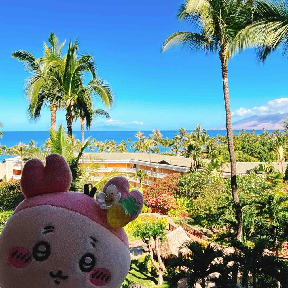 お花も海も空もぜんぶキレイだったパシ！！！！！