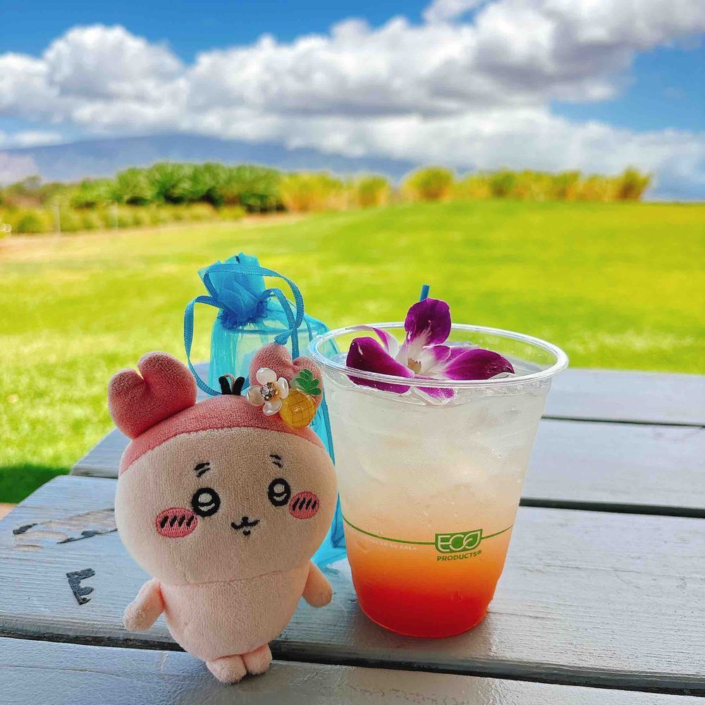 マウイ島産のオーシャンウォッカに見学行ってたパシ！朝っぱらから飲酒してハワイってすごいパシ🥃ハワイで見れる幸せのトカゲも見れたパシ🦎
