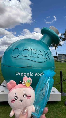 マウイ島産のオーシャンウォッカに見学行ってたパシ！朝っぱらから飲酒してハワイってすごいパシ🥃ハワイで見れる幸せのトカゲも見れたパシ🦎