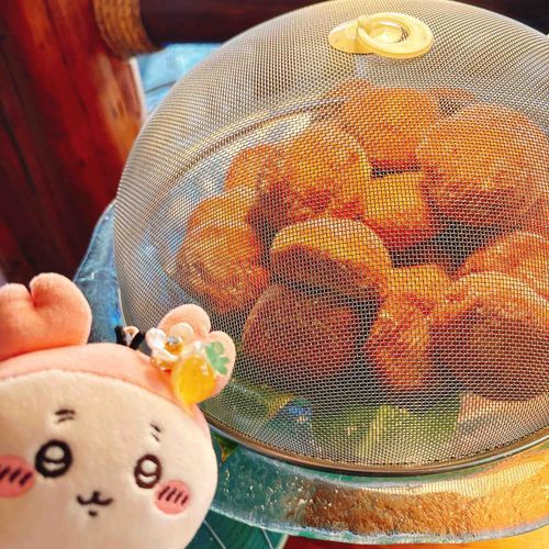 本場のマラサダを食べてメンダコちゃんは喜んでたパシ🍩どこを切り取っても映えてるパシ🐬
