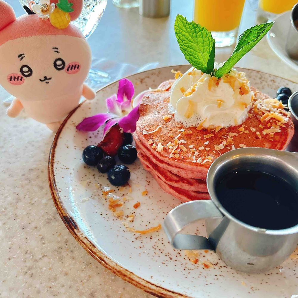 6泊8日？の旅の最後はワイキキにも泊まったパシ🏝️パシと同じピンクのロイヤルハワイアンに泊まったパシよ〜！全部ピンクで可愛いパシ🩷
