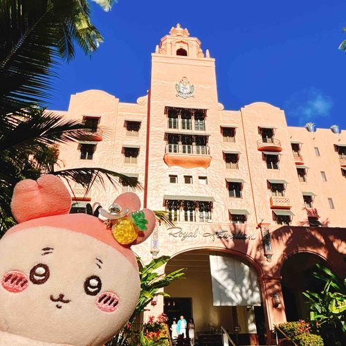 6泊8日？の旅の最後はワイキキにも泊まったパシ🏝️パシと同じピンクのロイヤルハワイアンに泊まったパシよ〜！全部ピンクで可愛いパシ🩷