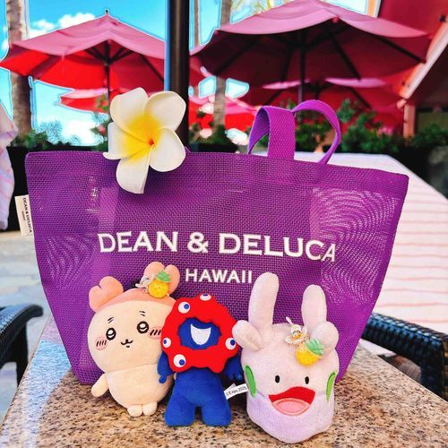 ハワイ楽しかったパシ🌺また連れてってほしいパシ✈️そろそろハワイ投稿終わりパシ！