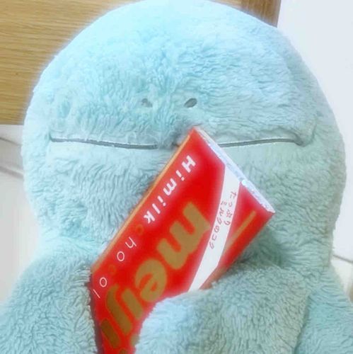 こんばんはだぬ！チョコが好きなぬちゃですぬ！いっぱいチョコくださいだぬ