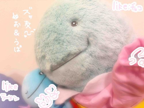 初めての投稿いいねいっぱいありがとぬ！今日はおとぬだち(お友達)のうぱと幼稚園で写真を撮ったぬよ！