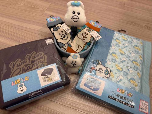 購入品ちゃむ～🩵🩵🩵
もうすぐ引越しなのに荷物増えたちゃむ😅
一番くじも沢山引いたけど拝む暇なくすぐダンボール行きちゃむ💦💦
引っ越したらすぐに開封するちゃむよ～！
