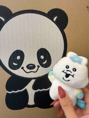 おうちにパンダさんがいっぱいいるちゃむ～🐼