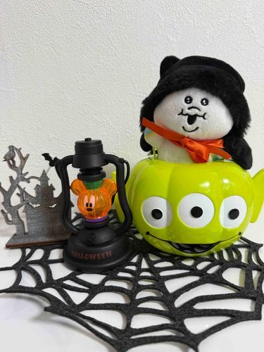 やーーーーっと引越しの荷解きが終わったちゃむ📦
ハロウィンの装飾も出せたちゃむよ🌚👻🎃🕸🕷
ハロウィンの装飾が家のあらゆる所にあるから他の所でも撮るちゃむ📸
イベント事大好きちゃむ～🩵