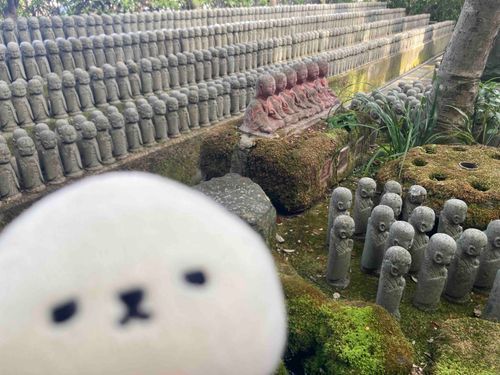 ぽつんのおともだち