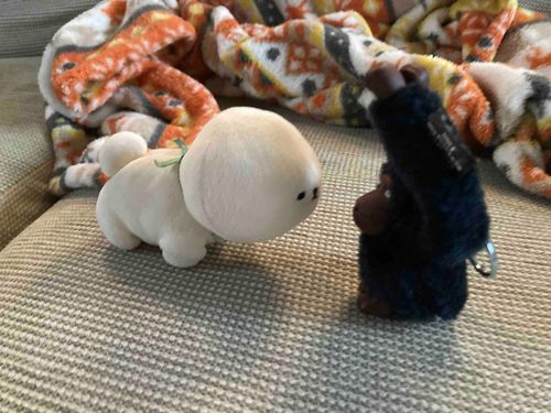 にらめっこってにらみあいじゃないの？