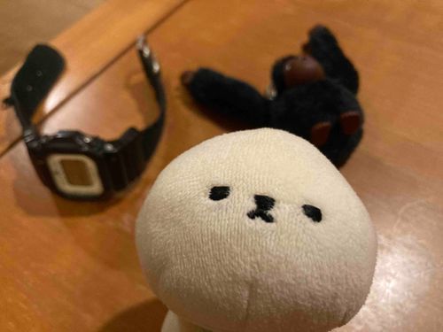 あれで隠れてるつもり〜？