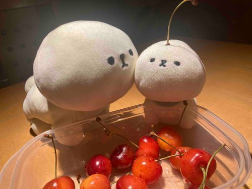もっちゃんにも生えてくるかな、それ