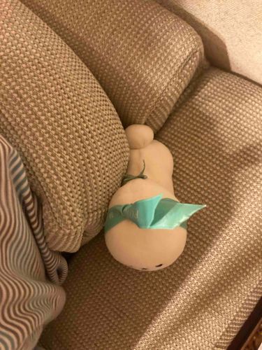 ハサマってるよ😡
