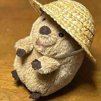 クオッカ