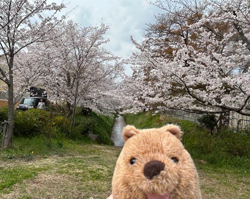 ポスト