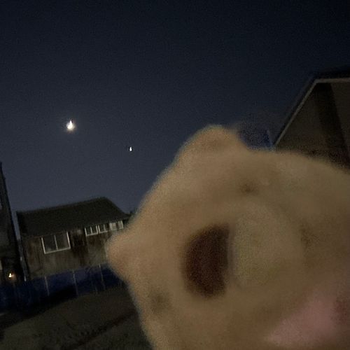 ポスト