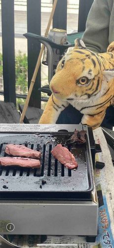 焼肉に参戦
カラスなんてぶっ飛ばす!!