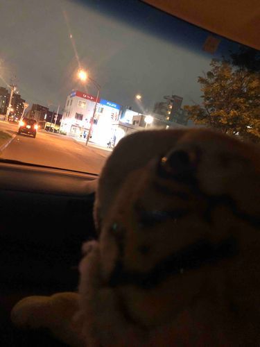 お迎えについてきた。NA驚かす。