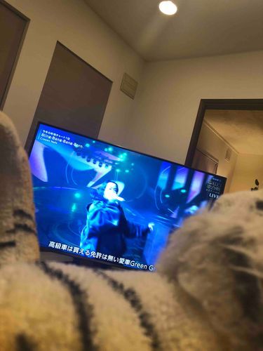 プリンバンバンボン