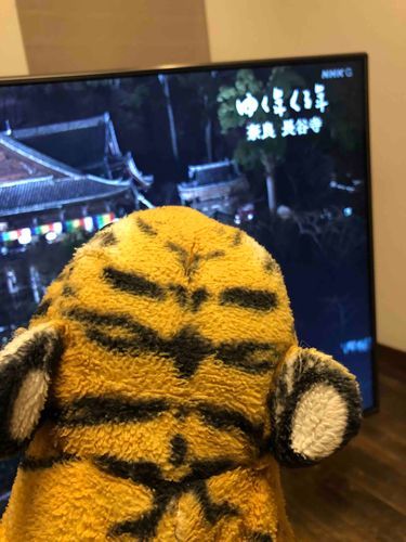 今年もあと少し