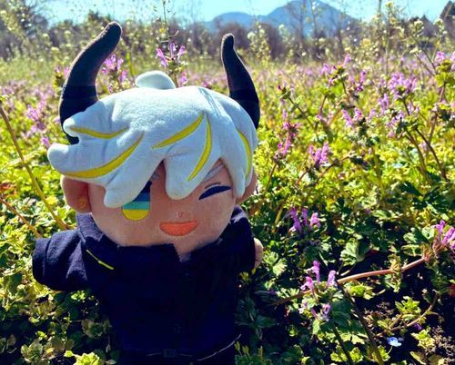 春爛漫、ぬ