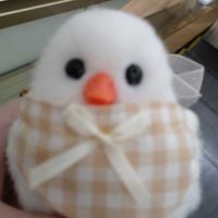 たんぽぽ