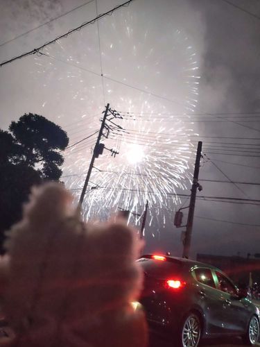 これは 5月に 花火を見た日の スコチ
