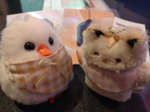 スコちは 今日初めてコンサート 行くよ
たんぽぽちゃんは 何回も行ってるから お作法聞く