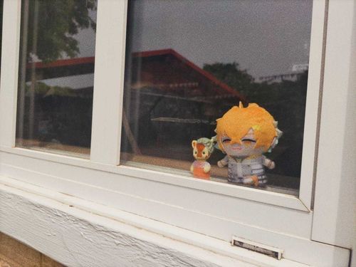 2匹で何か見てた📸