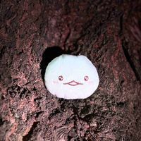 たろう