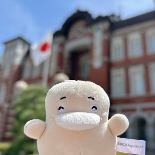 今日はいいお天気だったのだ！