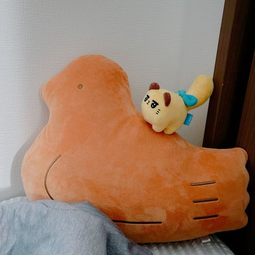はとの日だね🕊️