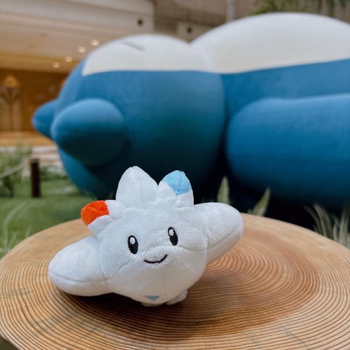 カビゴンさんと