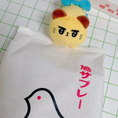 🕊️